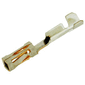 AMP - TE CONNECTIVITY CONTACT, RECEPTACLE, 32-27AWG, CRIMP yFarnell iz