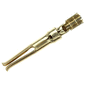 AMP - TE CONNECTIVITY D SUB CONTACT, SOCKET, 26-22AWG, CRIMP yFarnell iz