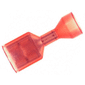 AMP - TE CONNECTIVITY TERMINAL, FEMALE DISCONNECT, 0.187IN RED, FULL REEL yFarnell iz