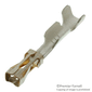 AMP - TE CONNECTIVITY CONTACT, SOCKET, 26-22AWG, CRIMP yFarnell iz